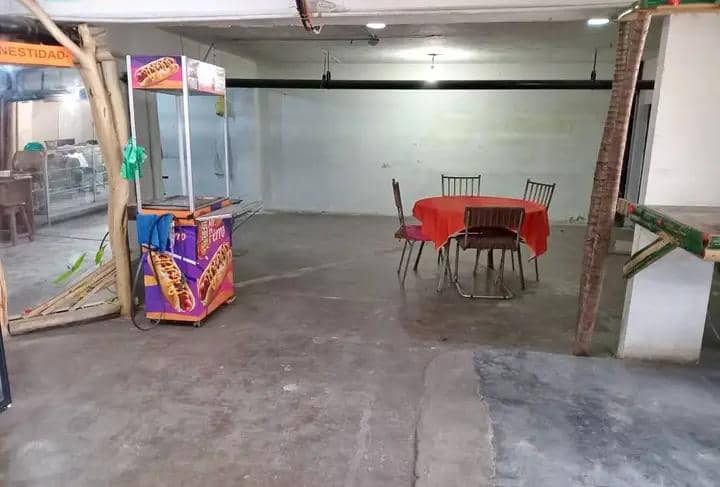 Descripción de la imagen