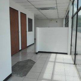 Descripción de la imagen