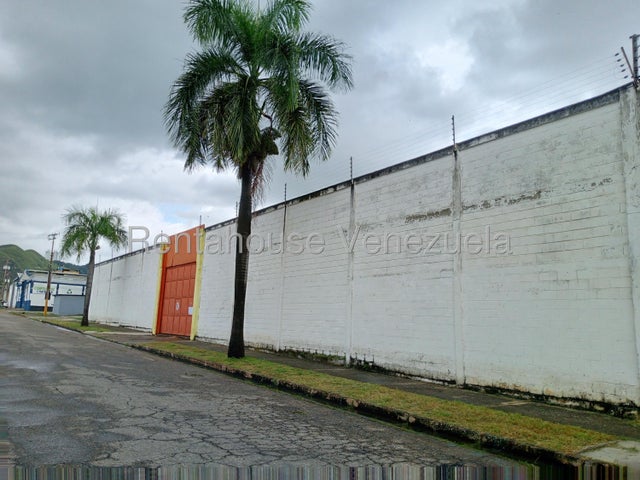 Descripción de la imagen