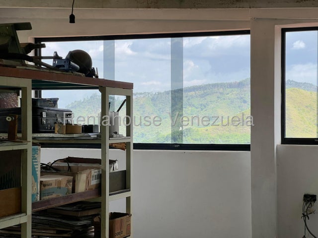 Descripción de la imagen