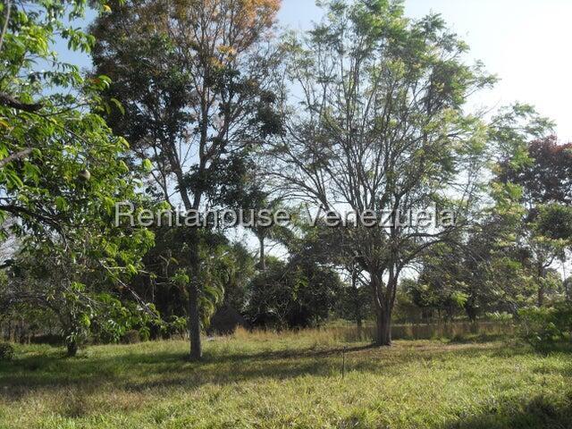 26-10816 Casa de campo acogedora en Venta El Encanto Municipio Libertador