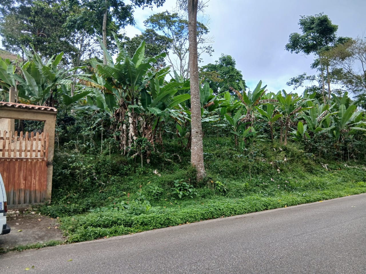 Se vende terreno en Caripe