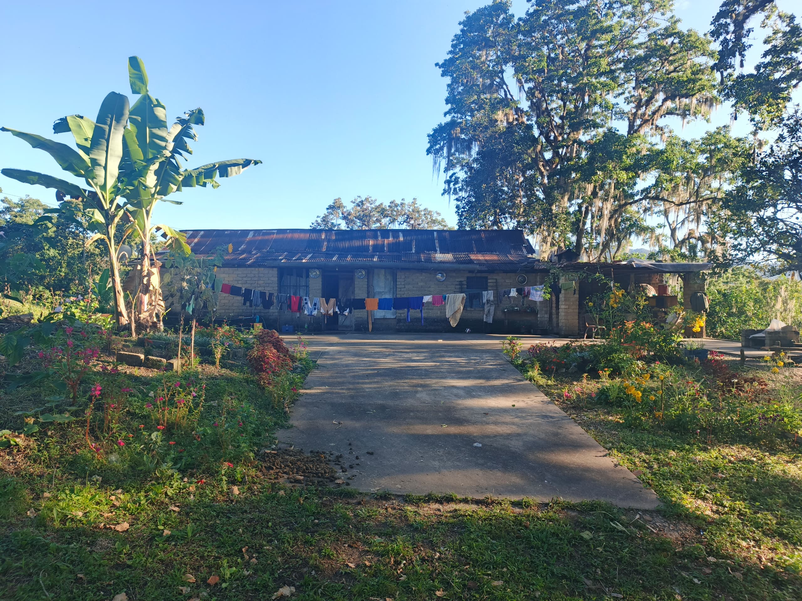 En Caripe, se vende hacienda 