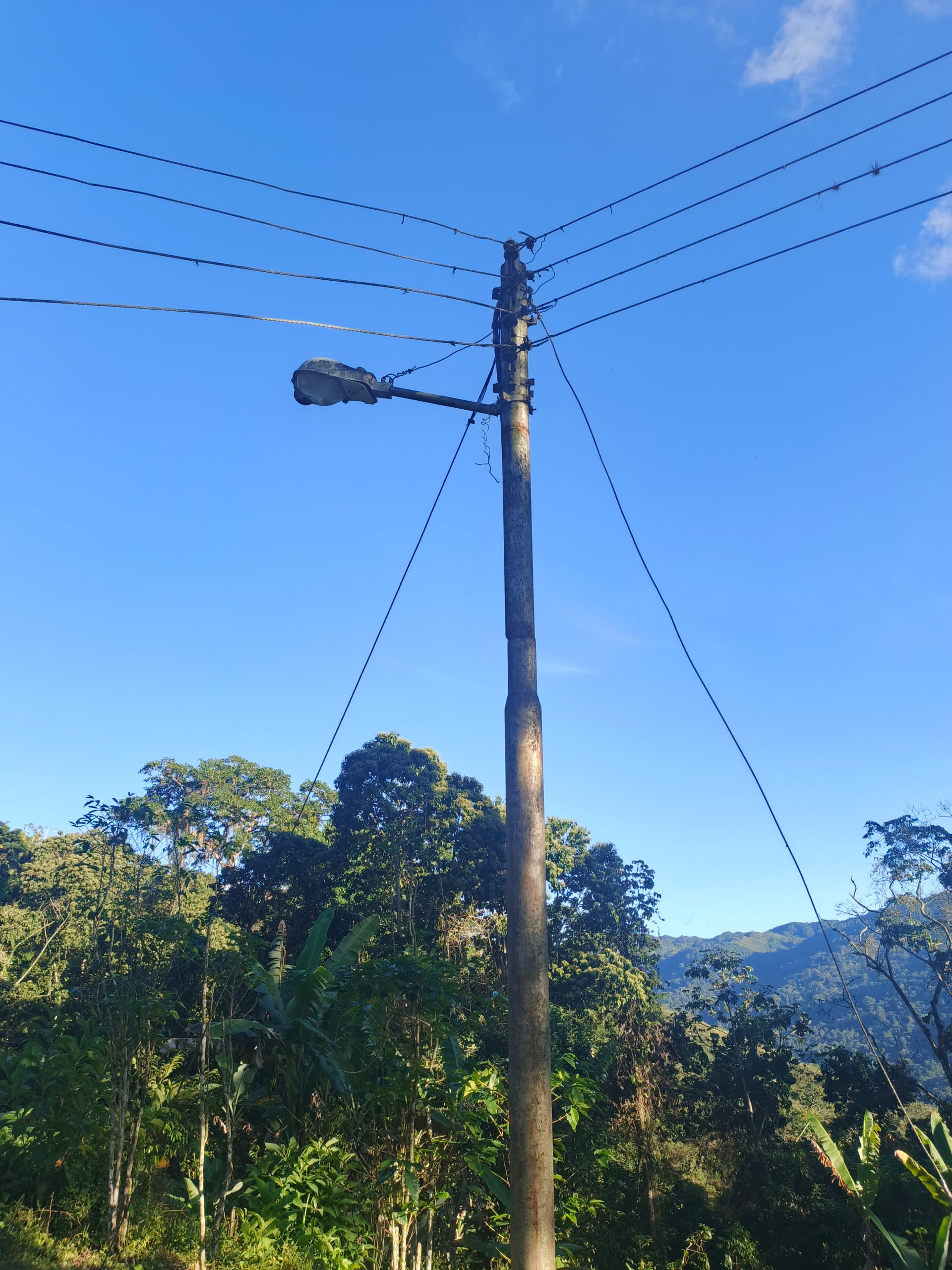 En Caripe, se vende hacienda 
