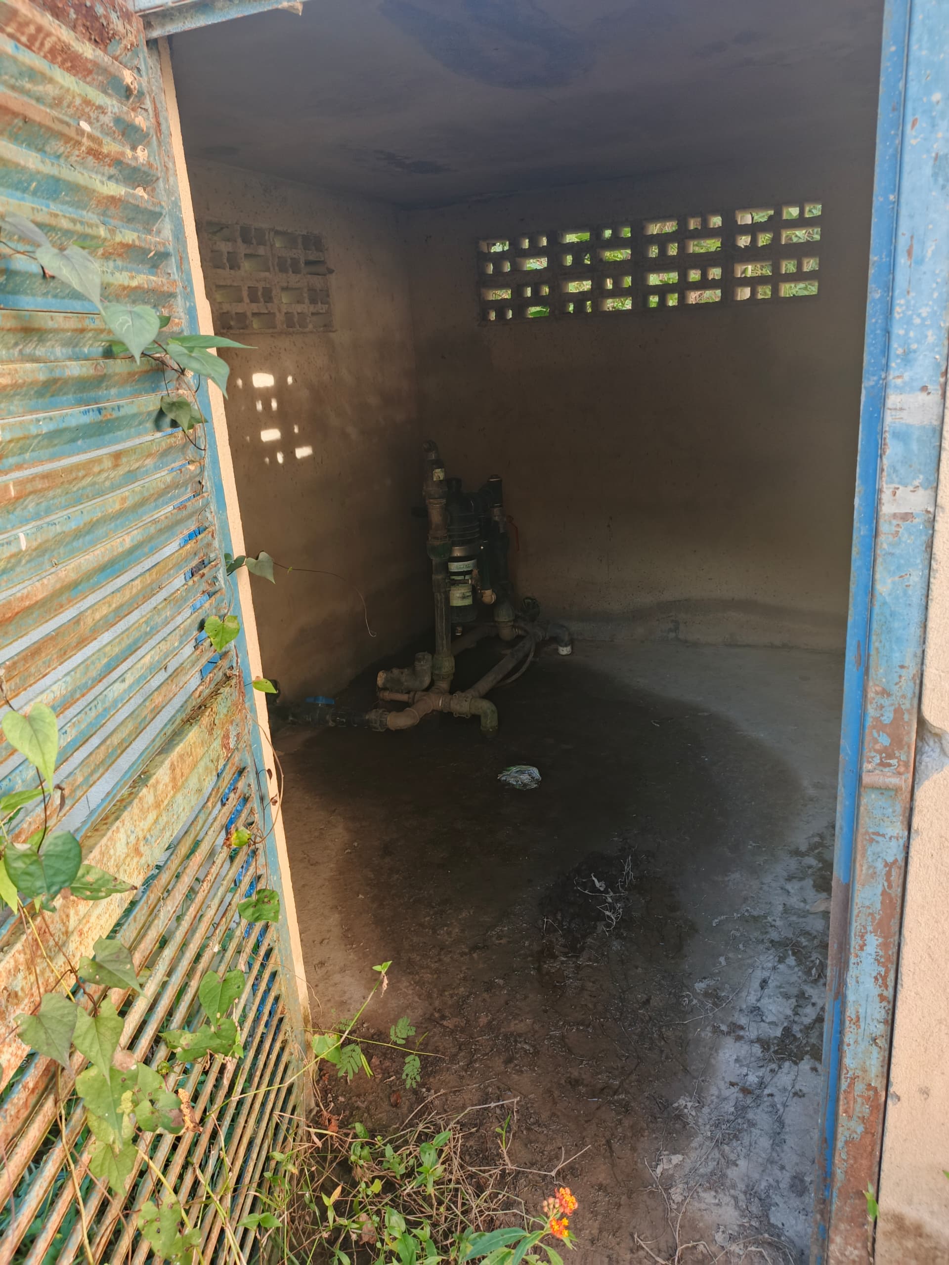 En Caripe, se vende hacienda 