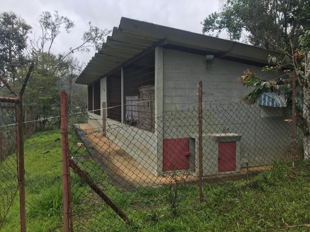 En Caripe, se vende galpón 