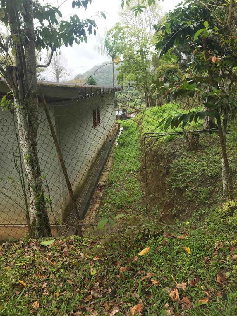 En Caripe, se vende galpón 