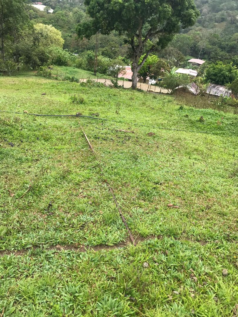 En Caripe, se vende galpón 