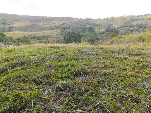 Se vende terreno Sabana de Piedra 