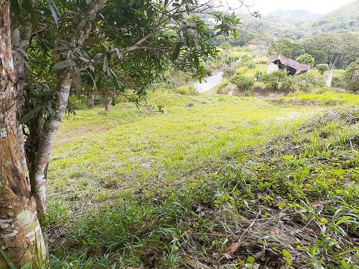 Se vende terreno Sabana de Piedra 