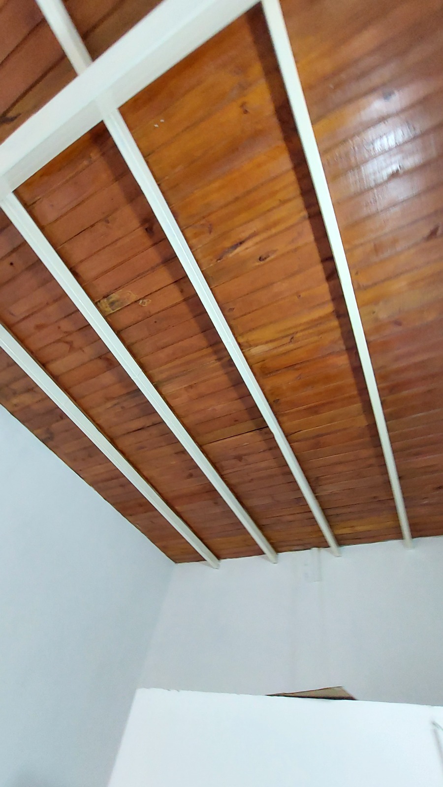 INMOBILIARIA FARRO VENDE 4 LOCALES TIPURO
