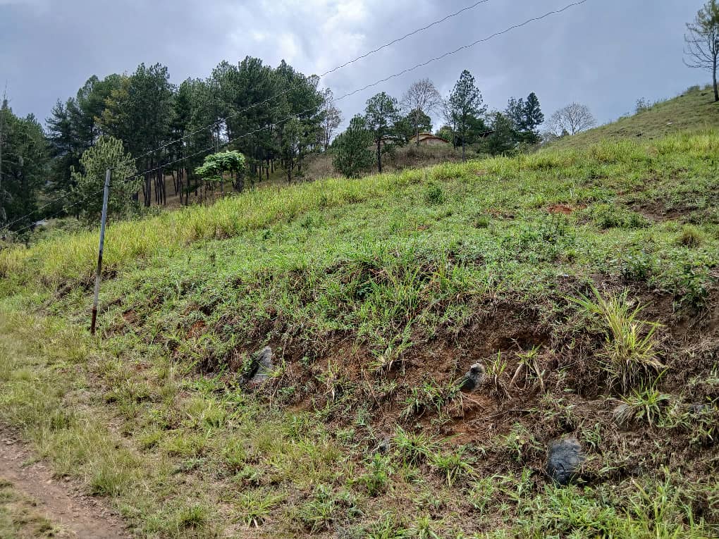 Se vende en Caripe, 2 lotes de terreno 