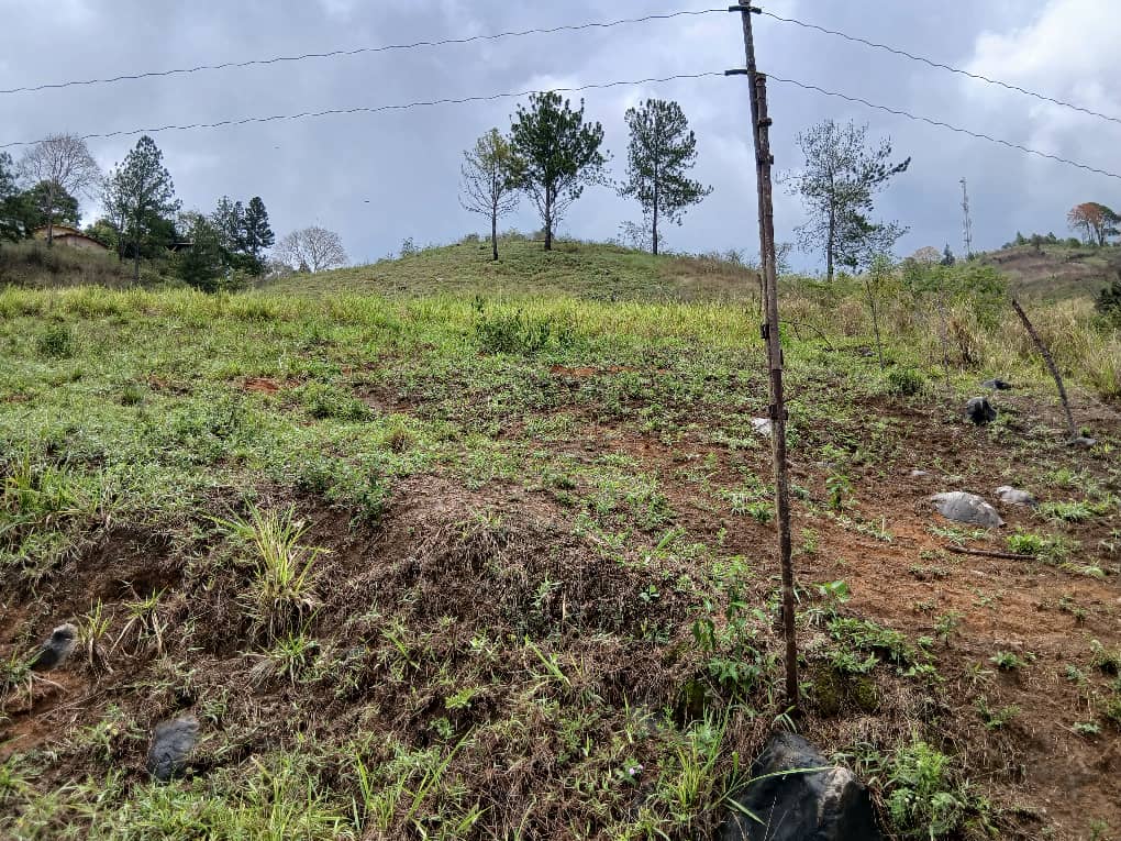 Se vende en Caripe, 2 lotes de terreno 