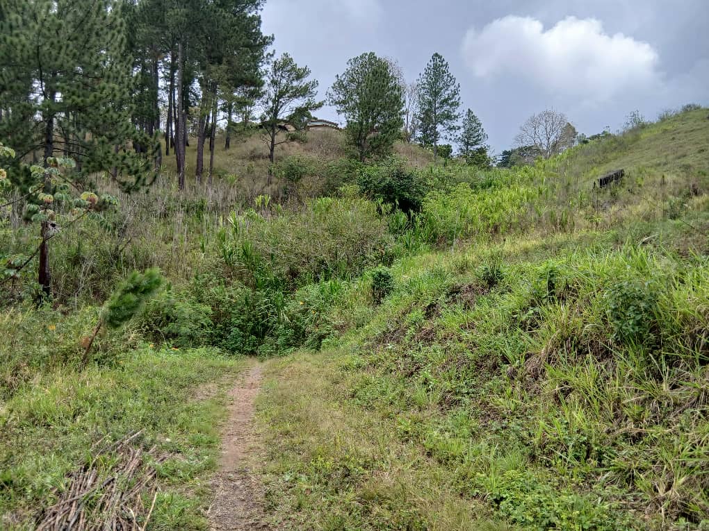 Se vende en Caripe, 2 lotes de terreno 