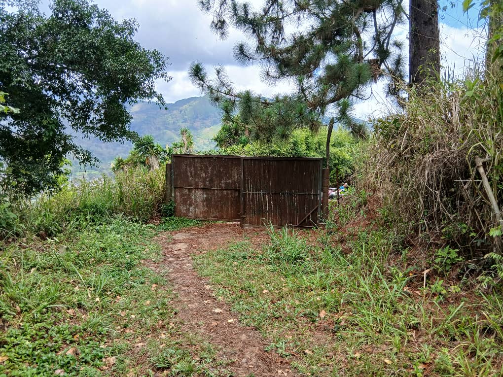 Se vende en Caripe, 2 lotes de terreno 