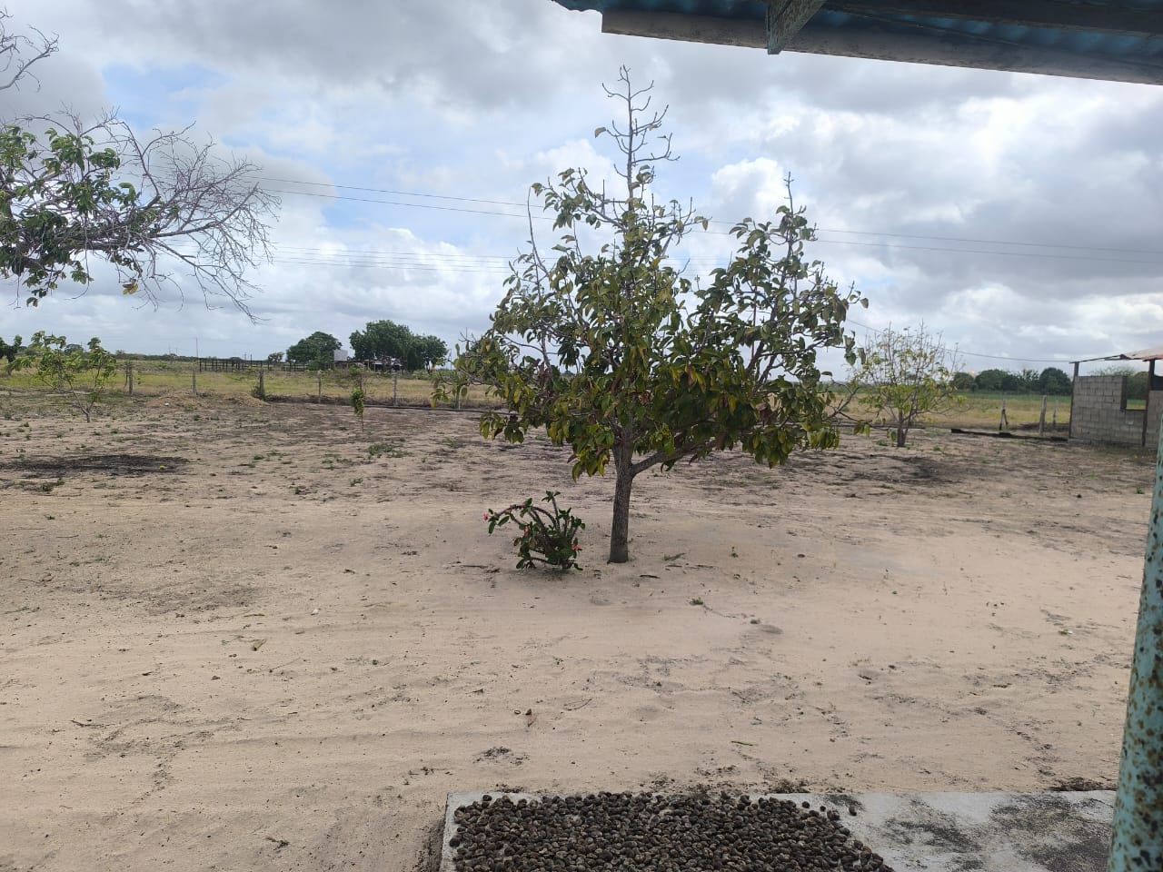 INMOBILIARIA FARRO VENDE TERRENO CARRETERA NACIONAL SANTA BARBARA AGUASAY 