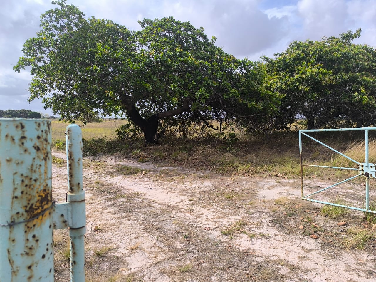 INMOBILIARIA FARRO VENDE TERRENO CARRETERA NACIONAL SANTA BARBARA AGUASAY 