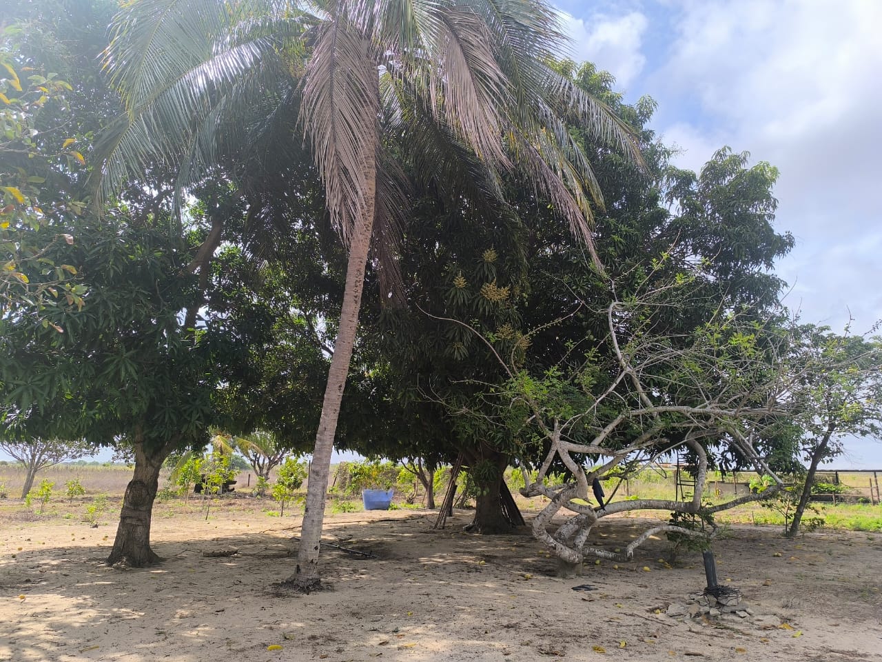 INMOBILIARIA FARRO VENDE TERRENO CARRETERA NACIONAL SANTA BARBARA AGUASAY 