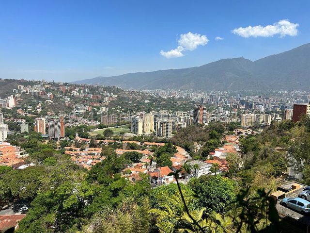 Descripción de la imagen