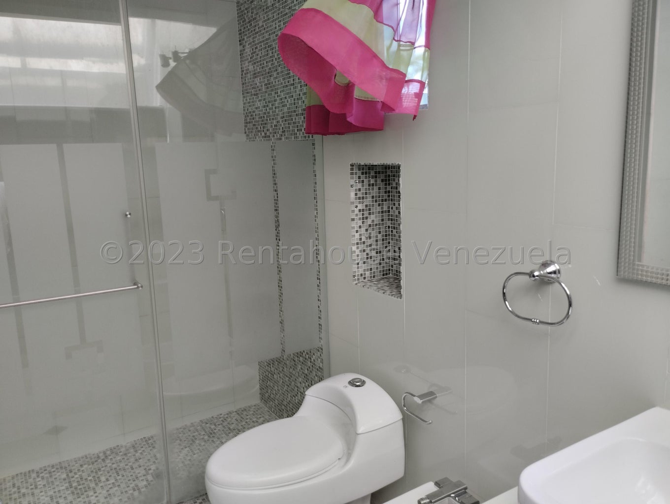 Descripción de la imagen