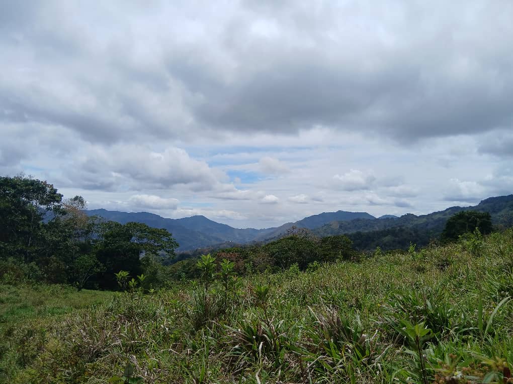 Se vende en Sector Bella Vista