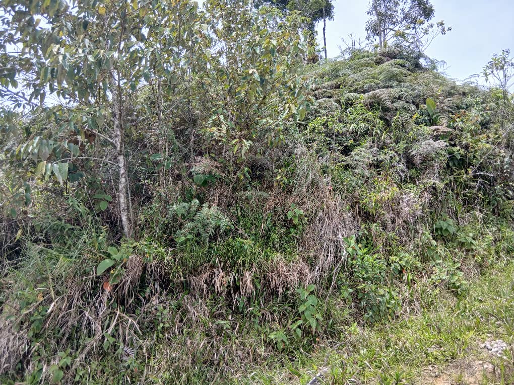 Se vende en Sector Bella Vista