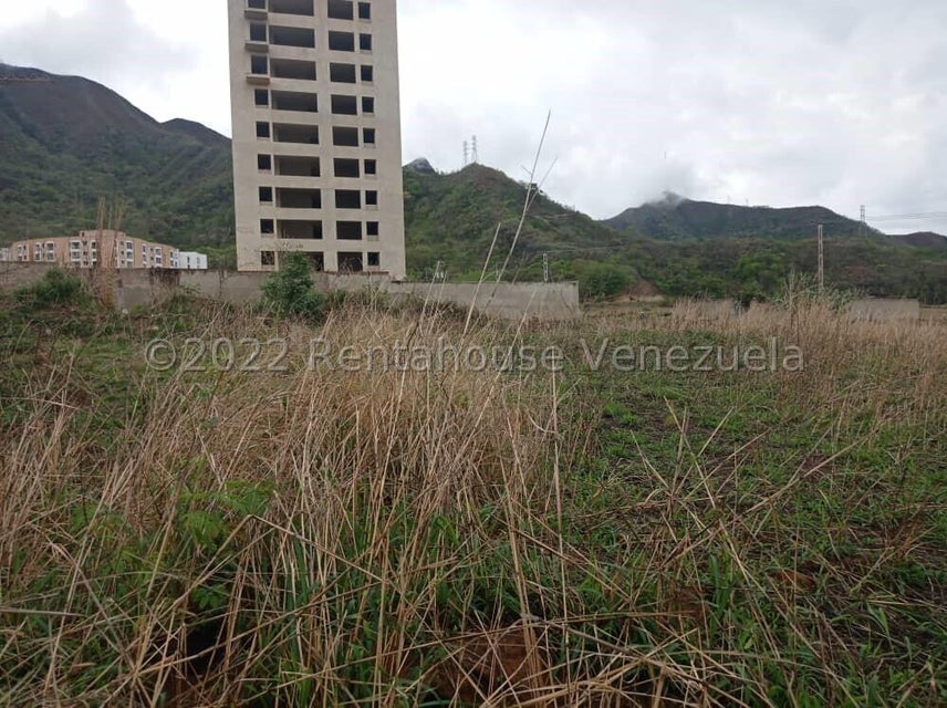 Descripción de la imagen