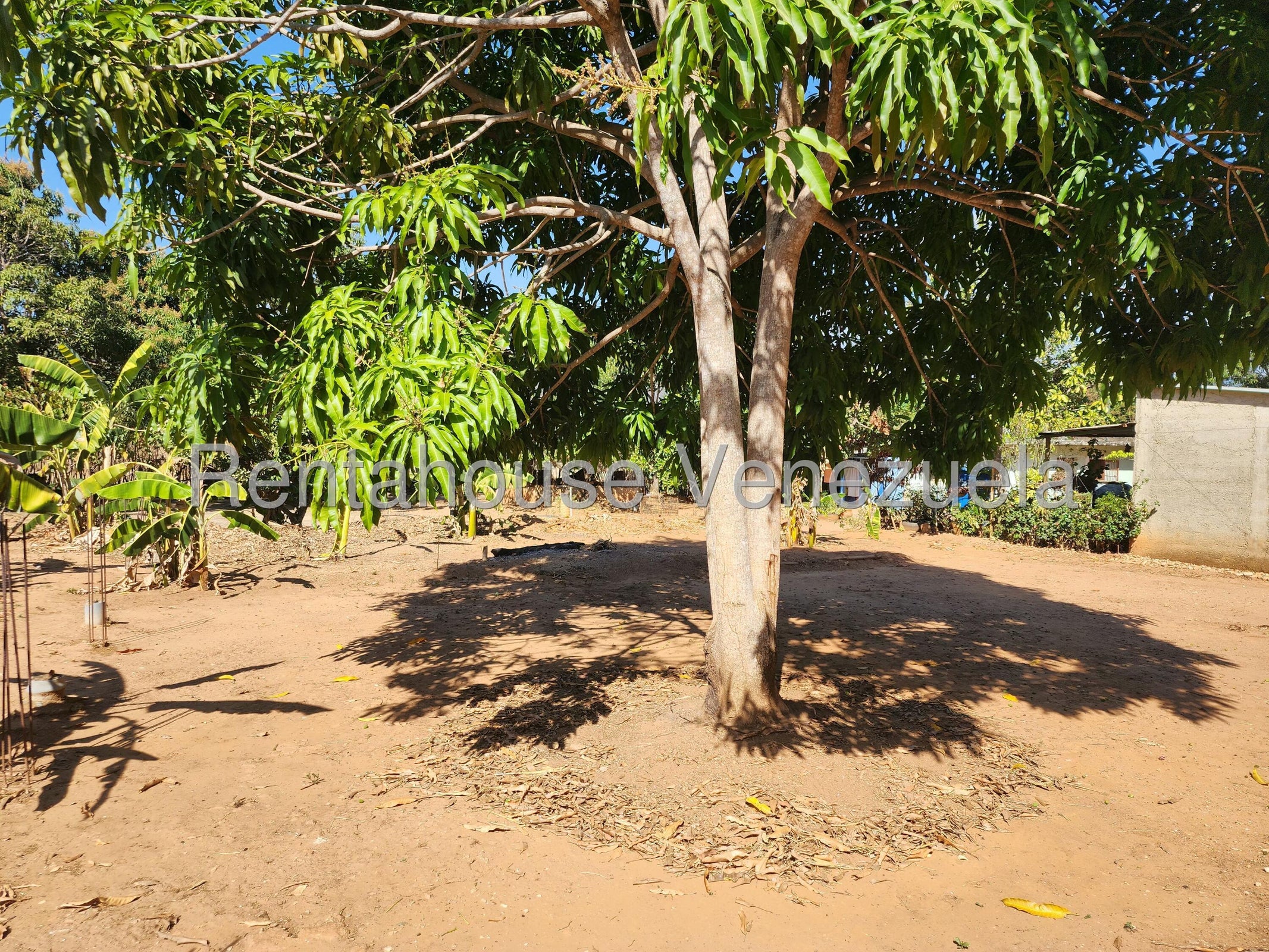 Venta de Parcela Ruta Asentamiento Santa Ana #25-15749