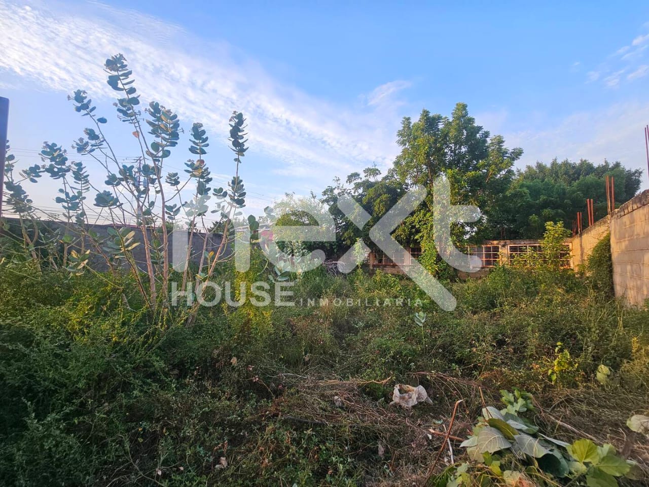 Terreno en venta NEXT 4748