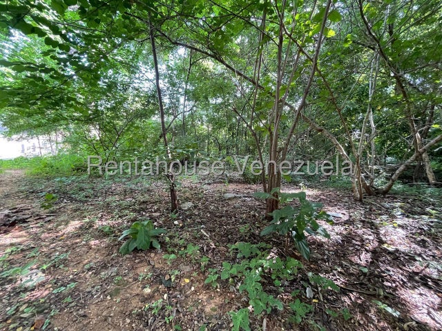 Venta de terreno Callejon Mujca, Valencia #25-23449