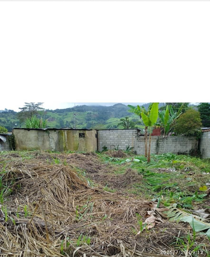 Terreno en venta, excelente ubicación 