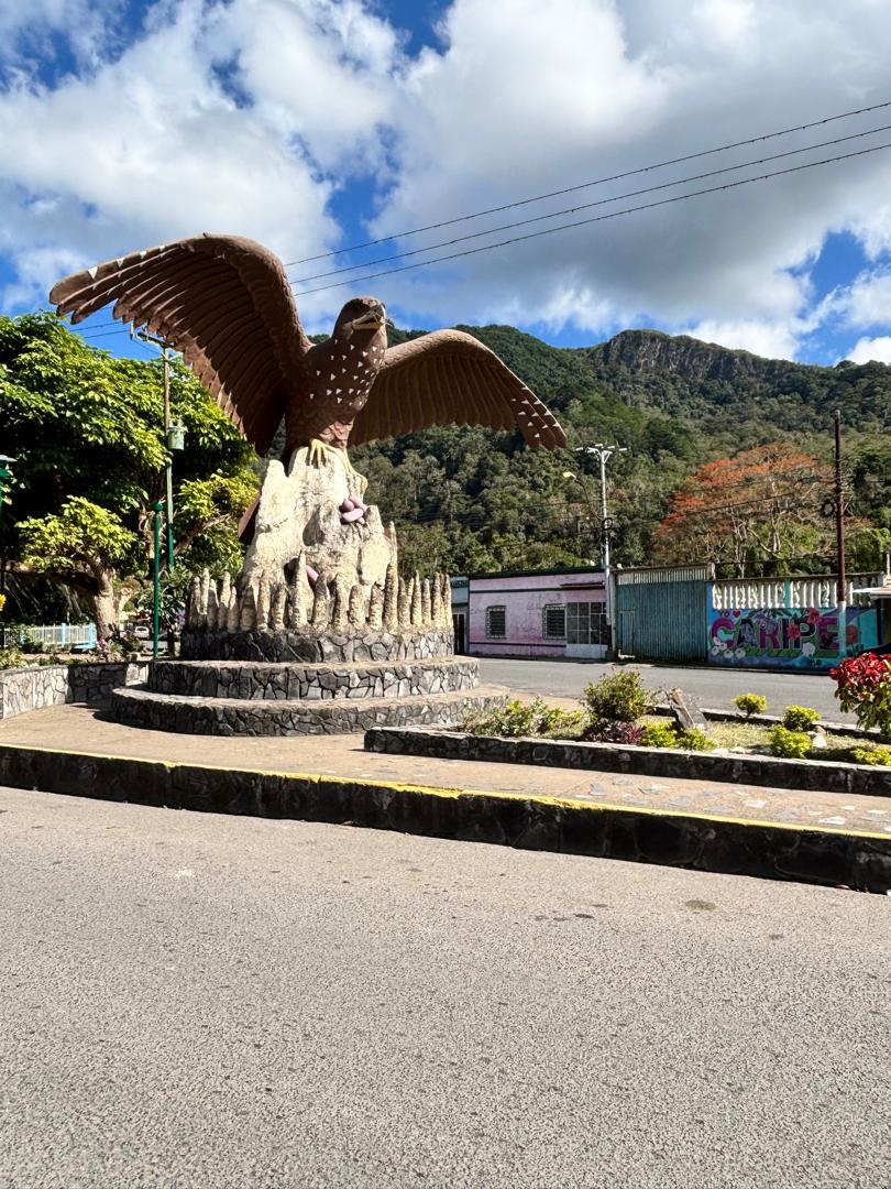 Terreno en venta, excelente ubicación 