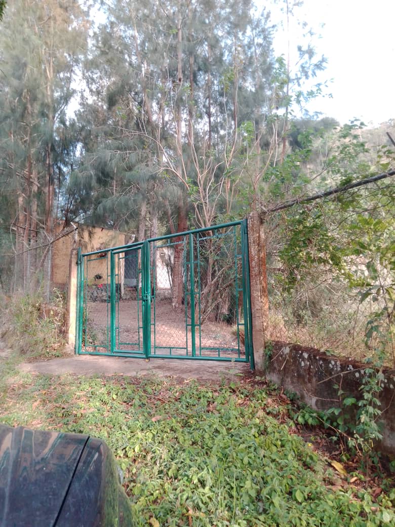 Se vende en Caripe, finca en La Cuchilla