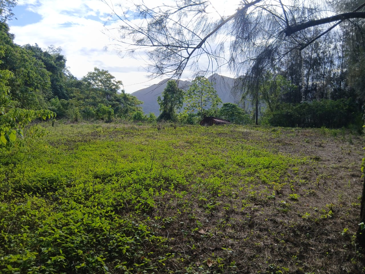 Se vende en Caripe, finca en La Cuchilla