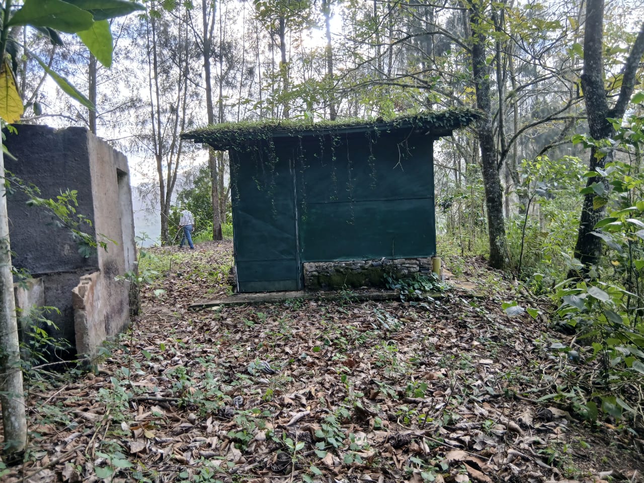 Se vende en Caripe, finca en La Cuchilla