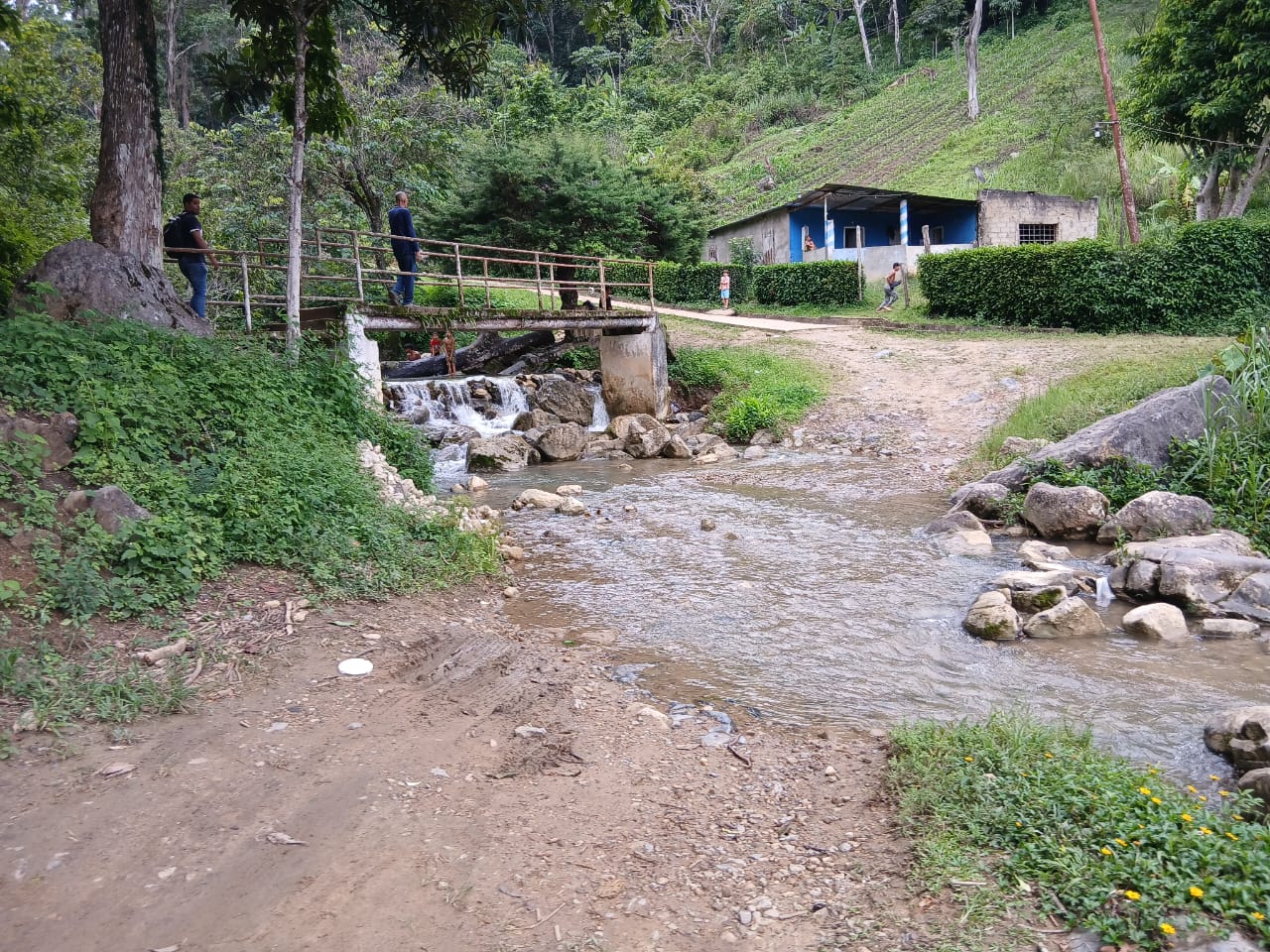 En Caripe, finca de 91,5 HA