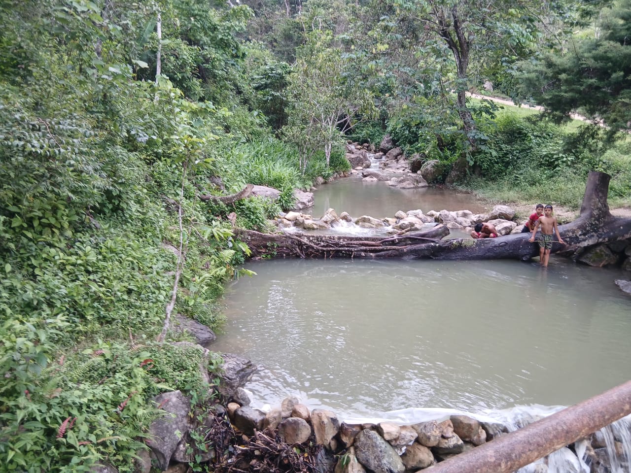 En Caripe, finca de 91,5 HA