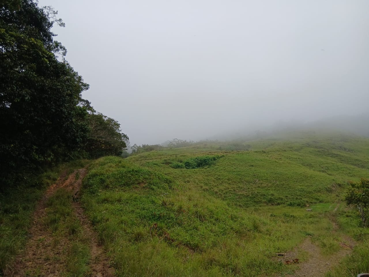 En Caripe, finca de 91,5 HA