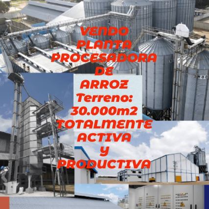 VENDO PLANTA PROCESADORA DE ARROZ 