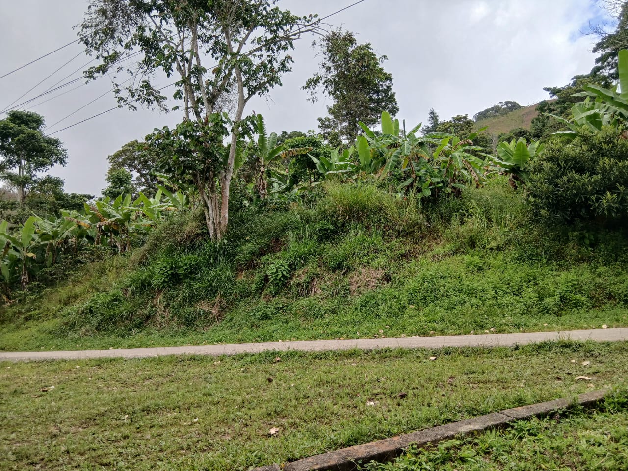 Se vende terreno en Caripe