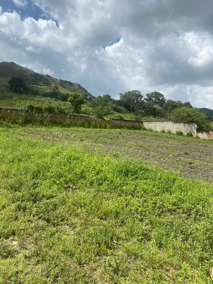 Se vende terreno 