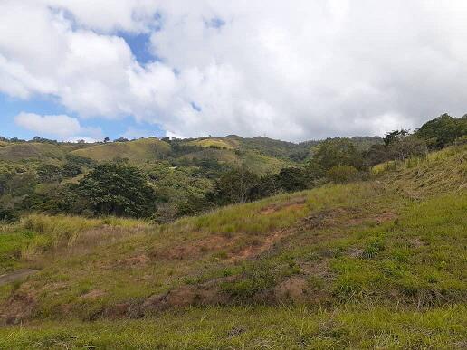 Se vende terreno Sabana de Piedra 