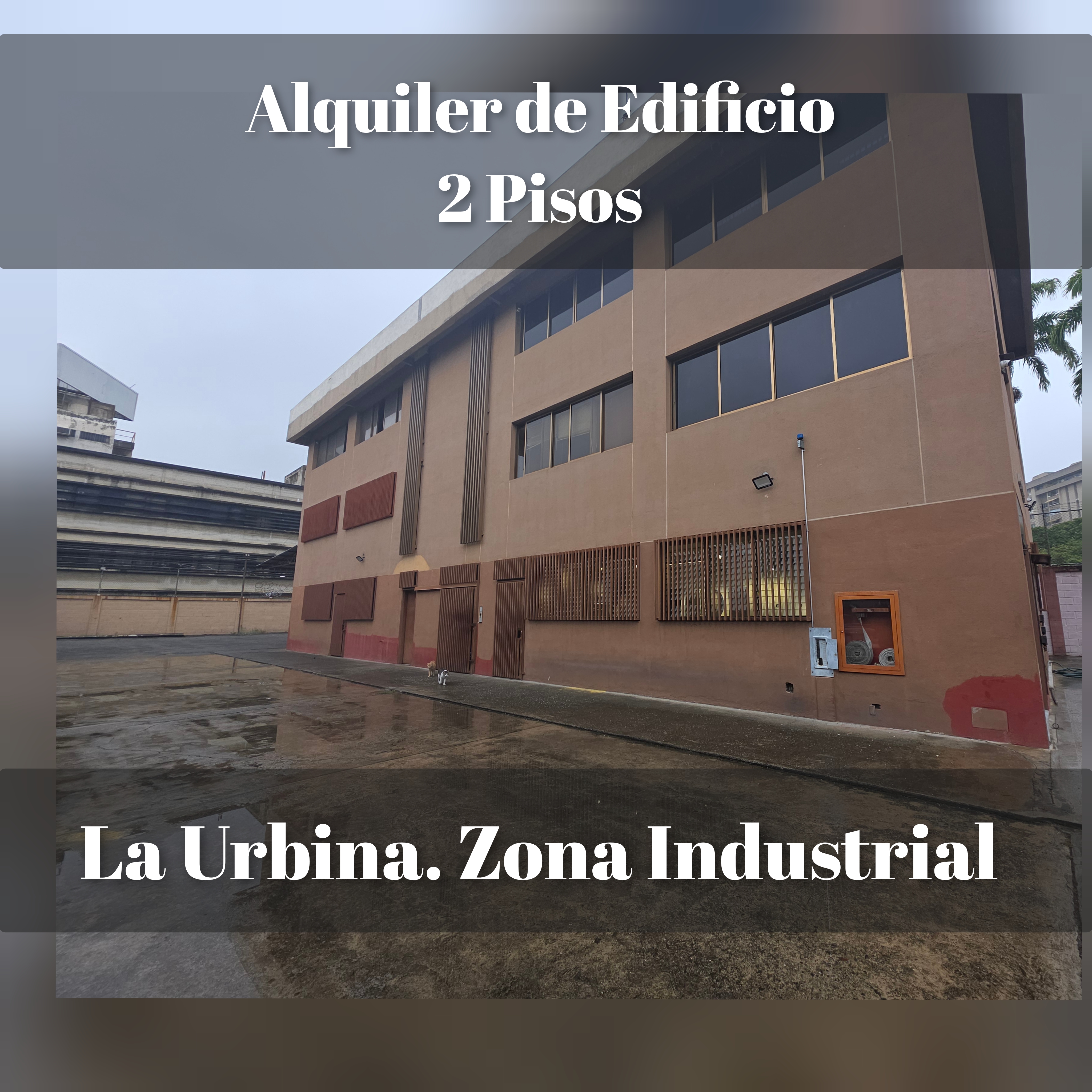Alquilo edificio industrial solo 2 plantas 24