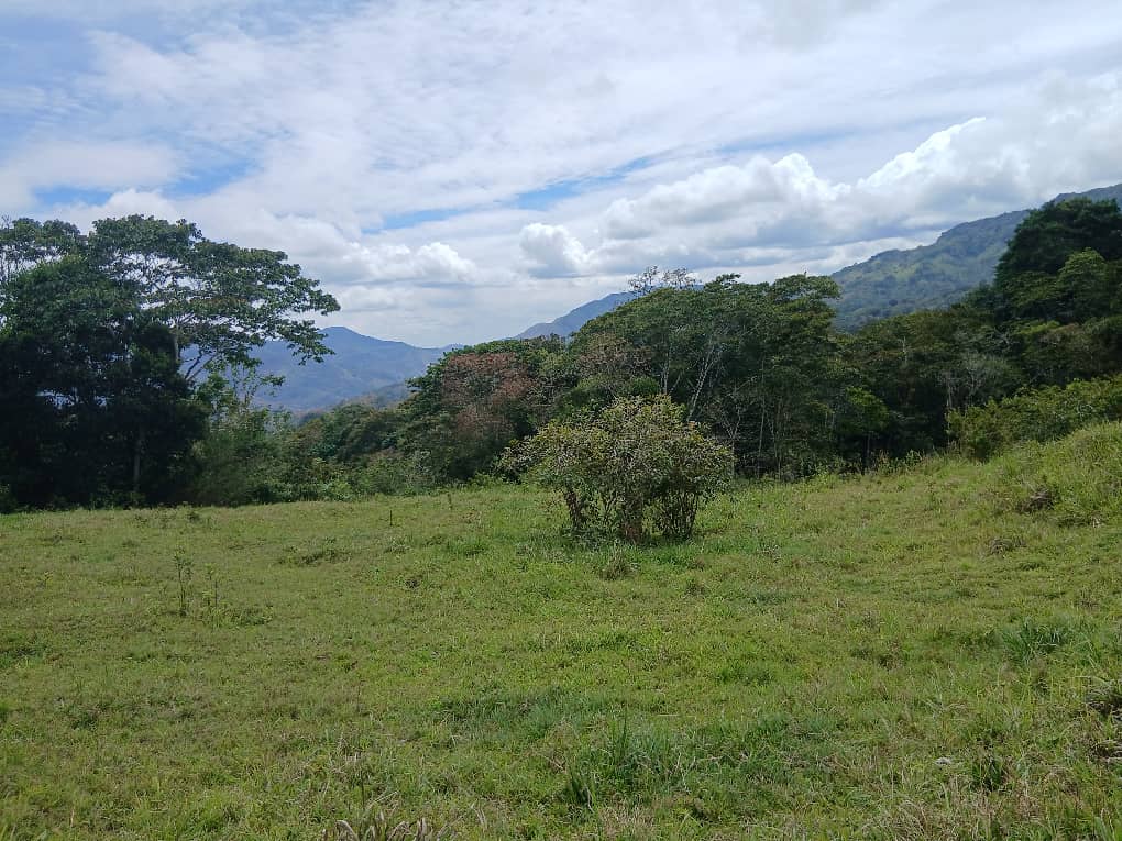 Se vende en Sector Bella Vista
