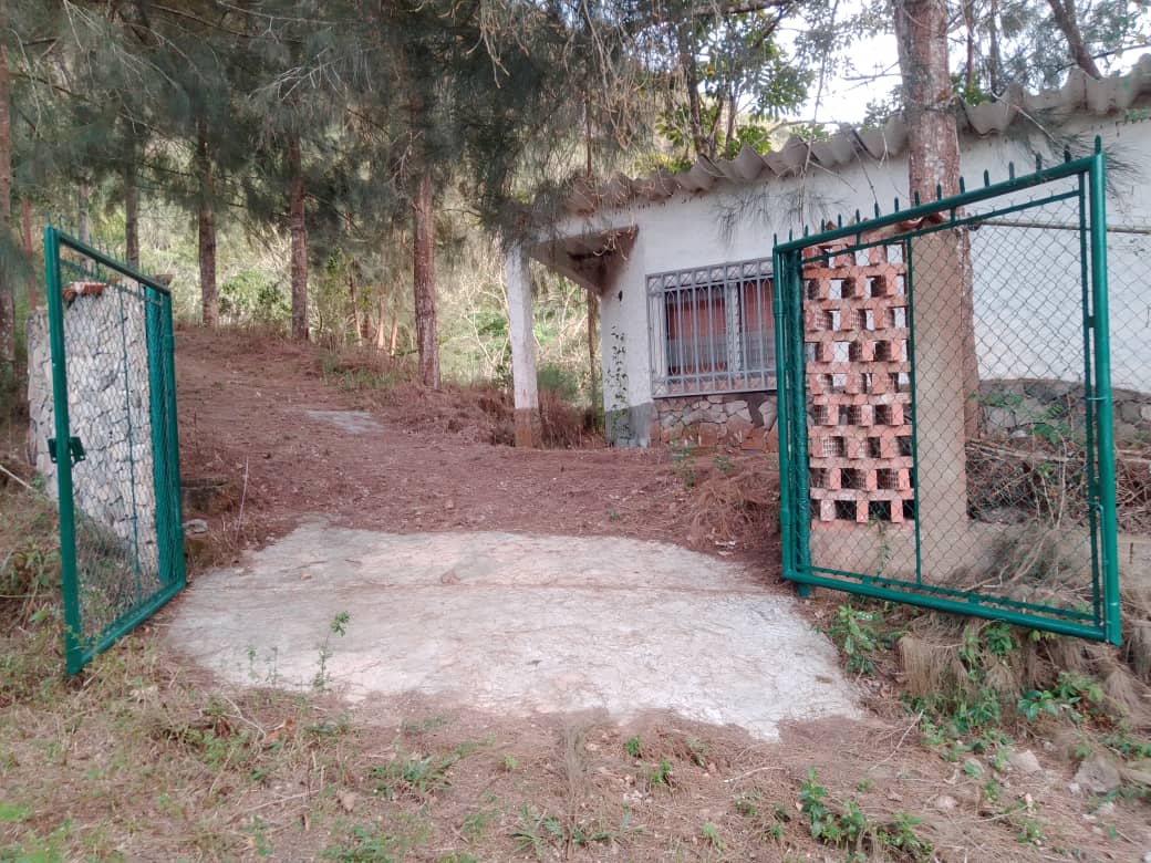 Se vende en Caripe, finca en La Cuchilla