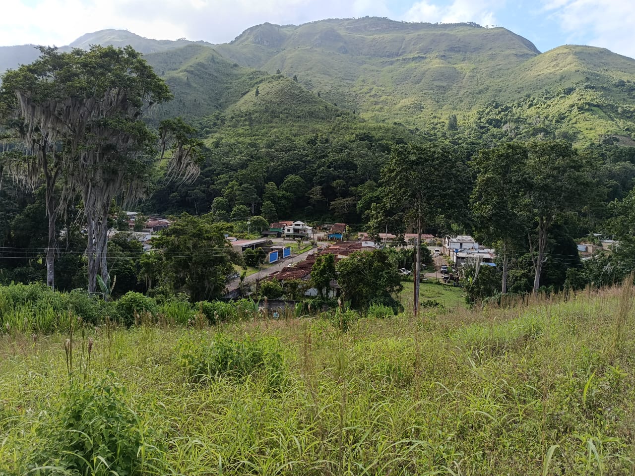 Terreno en venta, Sector Ortíz
