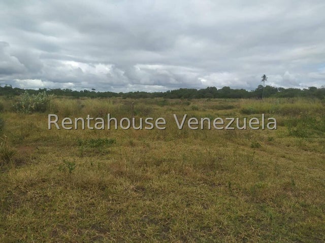 En venta   terreno  e n  boca de  aroa