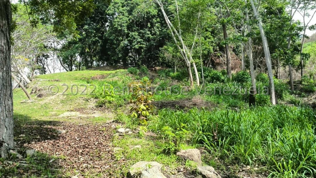 Terreno Carialinda