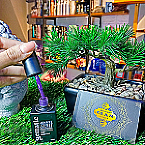 ESMALTE SEMIPERMANENTE GEMATIC B479 MANICURE Y PEDICURE UÑAS 0000479 - Tienda Barber Clan