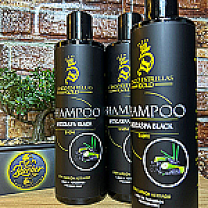 SHAMPOO ANTICASPA BLACK 500ML - 5 ESTRELLAS 5 ESTRELLAS SHAMPOO Y CUIDADO DE EL CABELLO 0004430 - Tienda Barber Clan